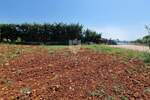 Plac, Novigrad, Novigrad, prodaja, 1119m2, 199000e, id60904