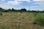 Plac, Umag, Katoro, prodaja, 5044m2, 785000e, id6499