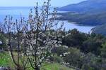 Plac, Labin, Rabac, prodaja, 2214m2, 390500e, id51056