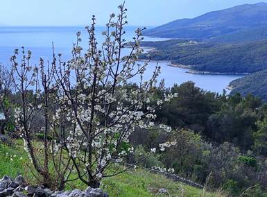 Zemljiste, Labin, Rabac, prodaja, 378500 €, 2214 m2