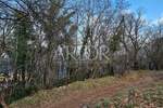 Plac, Opatija, Veprinac, prodaja, 3046m2, 550000e, id61904