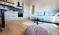 Dvosoban stan, Rijeka, Centar, najam, 36m2, 600e, id32537