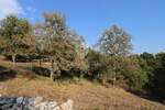 Plac, Bale, Bale, prodaja, 1086m2, 112240e, id61994