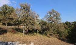 Plac, Bale, Bale, prodaja, 1086m2, 112240e, id61994