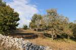 Plac, Bale, Bale, prodaja, 1086m2, 112240e, id61994