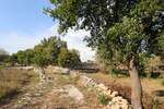 Plac, Bale, Bale, prodaja, 1086m2, 112240e, id61994