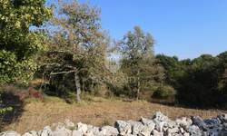 Plac, Bale, Bale, prodaja, 564m2, 58500e, id61996