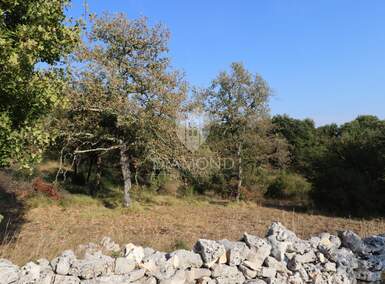 Plac, Bale, Bale, prodaja, 564m2, 58500e, id61996