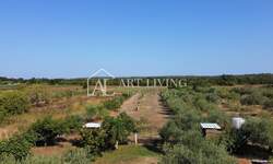 Plac, Umag, Umag, prodaja, 5800m2, 300000e, id62296