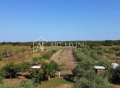 Plac, Umag, Umag, prodaja, 5800m2, 300000e, id62296