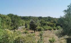 Plac, Krk, Krk, prodaja, 4238m2, 119000e, id62432