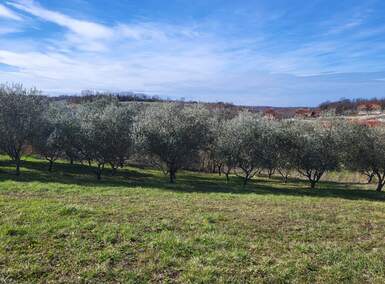 Plac, Vižinada, Vižinada, prodaja, 635m2, 86000e, id21981