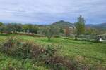 Plac, Buzet, Buzet, prodaja, 3109m2, 190000e, id17331