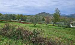 Plac, Buzet, Buzet, prodaja, 3109m2, 190000e, id17331