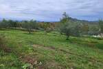 Plac, Buzet, Buzet, prodaja, 3109m2, 190000e, id17331