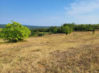 Plac, Pićan, Pićan, prodaja, 11584m2, 112000e, id17591