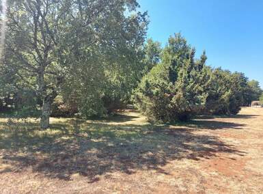 Plac, Poreč, Poreč, prodaja, 3622m2, 900000e, id17638