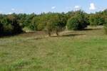 Plac, Labin, Labin, prodaja, 4860m2, 238000e, id17746