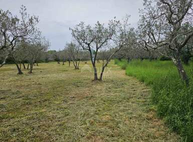 Zemljiste, Fažana, prodaja, 99000 €, 3170 m2