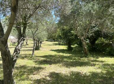 Plac, Zadar, Kožino, prodaja, 781m2, 295000e, id57979