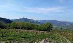 Plac, Motovun, Motovun, prodaja, 3597m2, 249000e, id54237