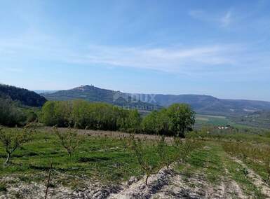 Plac, Motovun, Motovun, prodaja, 3597m2, 249000e, id54237