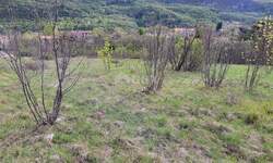 Plac, Lupoglav, Lupoglav, prodaja, 3834m2, 123000e, id51498