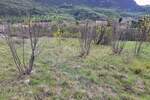 Plac, Lupoglav, Lupoglav, prodaja, 1835m2, 59000e, id51499