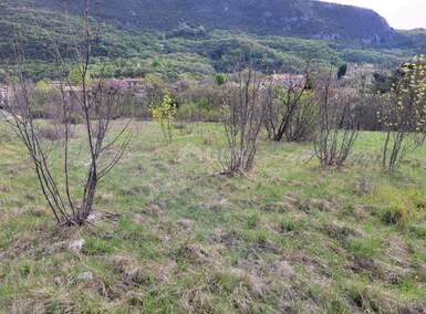 Zemljiste, Lupoglav, prodaja, 67000 €, 1999 m2