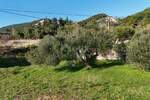 Plac, Rab, Barbat na Rabu, prodaja, 1447m2, 226000e, id50232