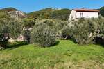 Plac, Rab, Barbat na Rabu, prodaja, 1447m2, 226000e, id50232