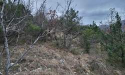 Plac, Lupoglav, Lupoglav, prodaja, 37505m2, 50000e, id48999