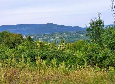 Plac, Buzet, Sovinjak, prodaja, 1958m2, 122000e, id36112