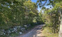 Plac, Matulji, Veli Brgud, prodaja, 4348m2, 56000e, id34293