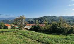 Plac, Motovun, Motovun, prodaja, 600m2, 105000e, id34504