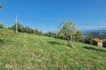 Plac, Motovun, Motovun, prodaja, 600m2, 105000e, id34504