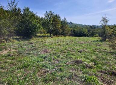 Plac, Buzet, Hum, prodaja, 8727m2, 46000e, id33162