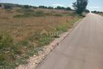 Plac, Vir, Vir, prodaja, 7070m2, 65000e, id32266