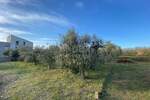 Plac, Privlaka, Privlaka, prodaja, 1019m2, 299000e, id31168