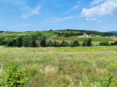 Plac, Vižinada, Vižinada, prodaja, 755m2, 115000e, id28403