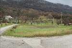 Plac, Buzet, Buzet, prodaja, 1245m2, 52000e, id24685