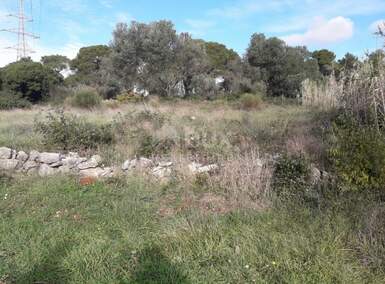 Plac, Pula, Centar, prodaja, 841m2, 85000e, id18374