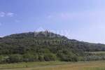 Plac, Motovun, Motovun, prodaja, 53000m2, 1450000e, id14628