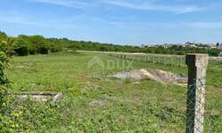 Plac, Novigrad, Novigrad, prodaja, 7000m2, 80000e, id4189