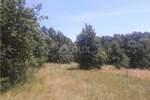 Plac, Pazin, Lindar, prodaja, 3500m2, 168000e, id10484