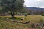 Plac, Labin, Rabac, prodaja, 1490m2, 37000e, id4330