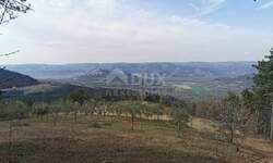 Plac, Motovun, Kaldir, prodaja, 6500m2, 68000e, id14669