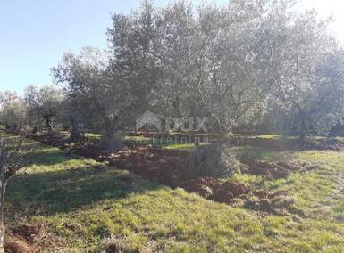 Zemljiste, Novigrad, prodaja, 133000 €, 6413 m2