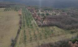 Plac, Kanfanar, Jural, prodaja, 18771m2, 205000e, id11423