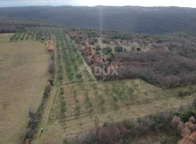 Zemljiste, Kanfanar, Jural, prodaja, 205000 €, 18771 m2